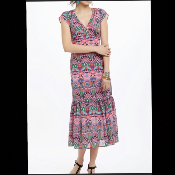 Anthropologie Dresses & Skirts - NWOT🌸anthro Vanessa Virginia Mural maxi dress Sz 4